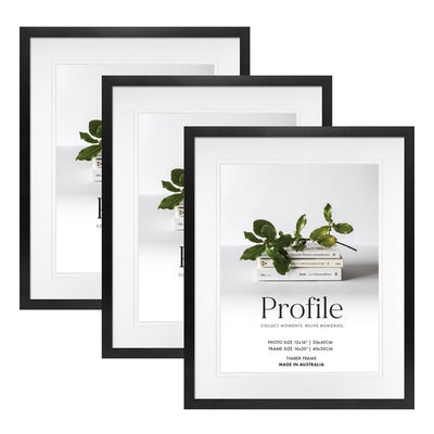 Elegant Deluxe Black 16x20/12x16in Set of Frames (Bulk Frame Bundle 3 Pack) from our Australian Made Picture Frames collection by Profile Products (Australia) Pty Ltd