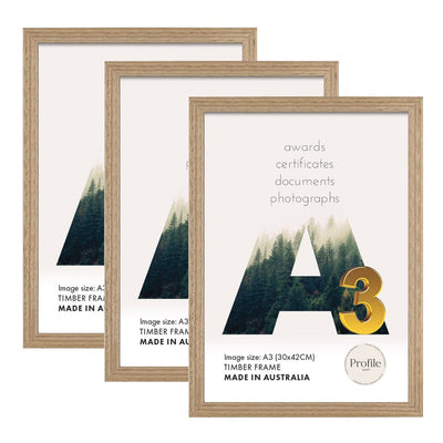 Elegant Victorian Ash A3 Set of Frames (Bulk Frame Bundle 3 Pack) from our Australian Made Picture Frames collection by Profile Products (Australia) Pty Ltd