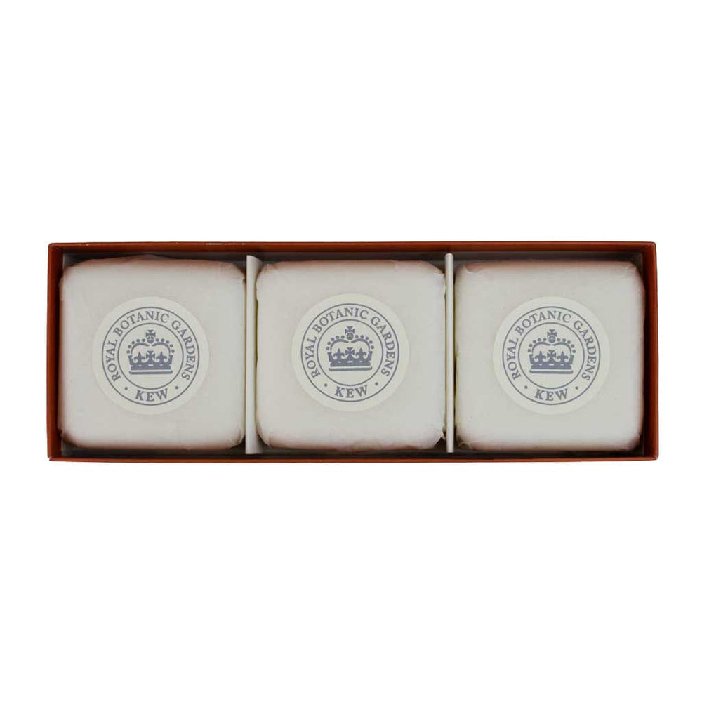 ESC Triple Soap Gift Sets (3x100g) from our Body & Bath collection by The English Soap Company