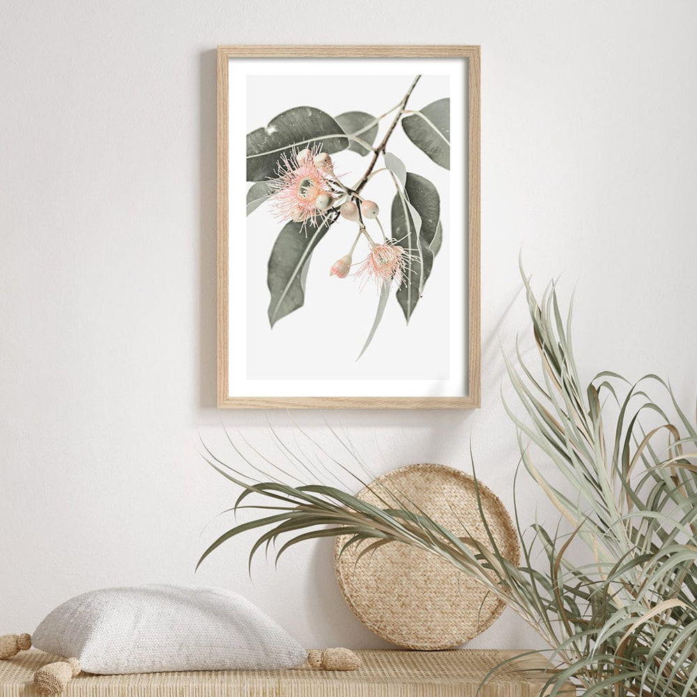 Eucalyptus Wildflowers Wall Art Print from our Australian Made Framed Wall Art, Prints & Posters collection by Profile Australia