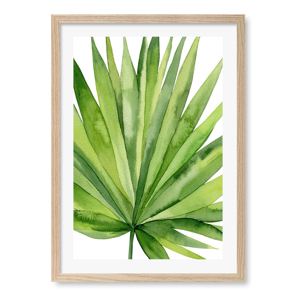 Fan Palm Leaf Wall Art Print A2 (42 x 59.4cm) / Natural Oak Frame / White Border from our Australian Made Framed Wall Art, Prints & Posters collection by Profile Australia