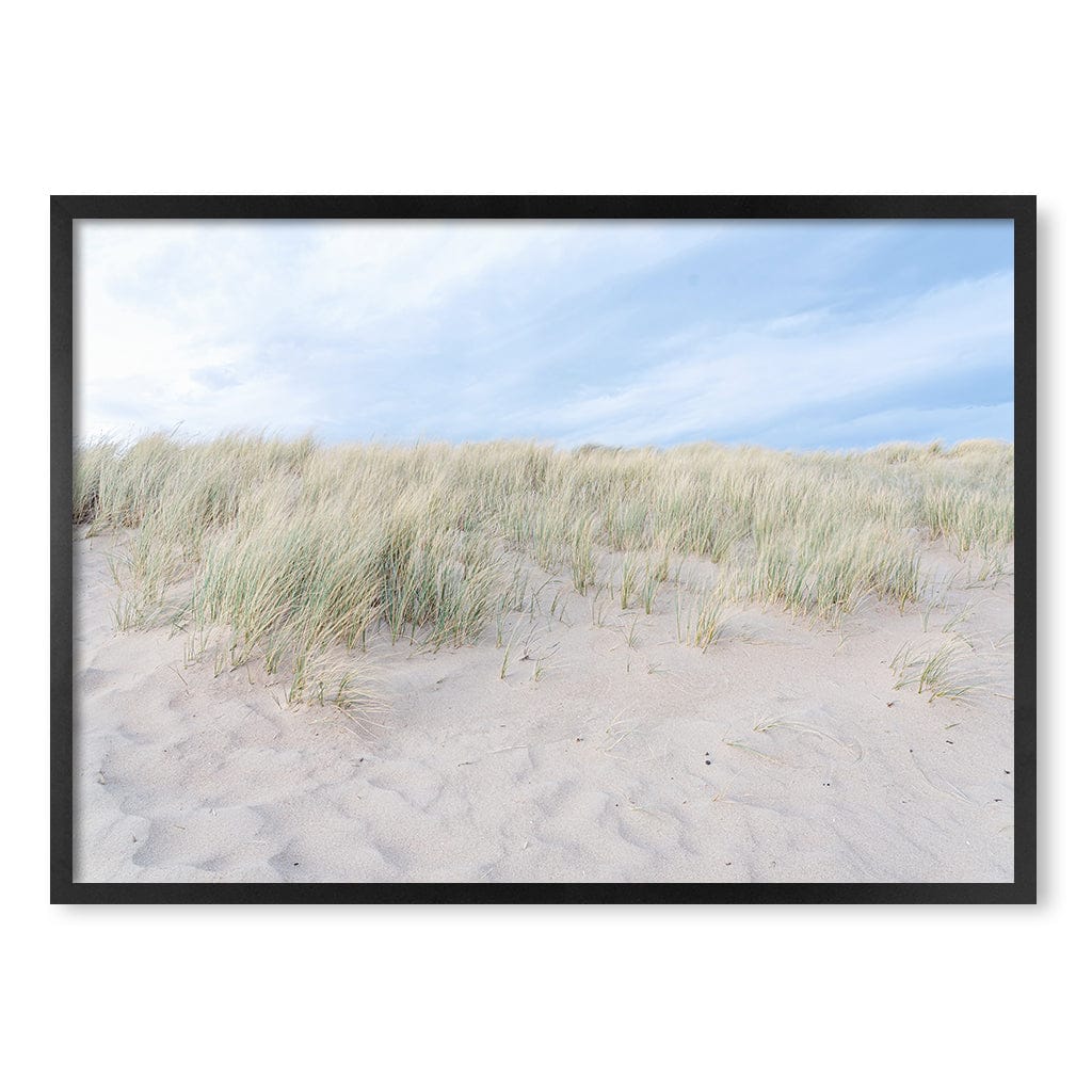 Grassy Dunes Wall Art Print A1 (59.4 x 84.1cm) / Matte Black Frame / No Border from our Australian Made Framed Wall Art, Prints & Posters collection by Profile Products (Australia) Pty Ltd