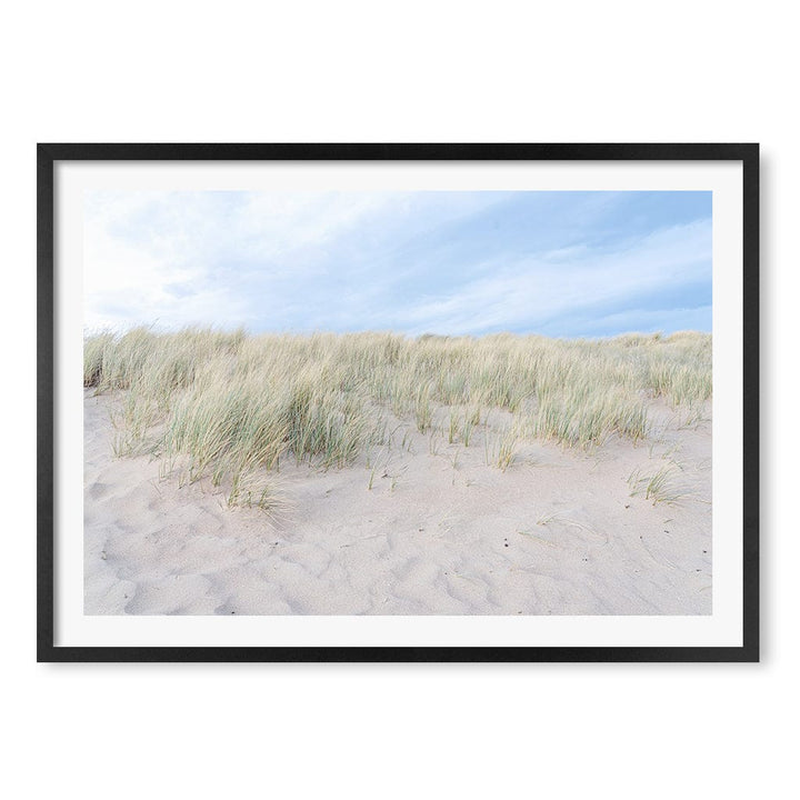 Grassy Dunes Wall Art Print A1 (59.4 x 84.1cm) / Matte Black Frame / White Border from our Australian Made Framed Wall Art, Prints & Posters collection by Profile Products (Australia) Pty Ltd