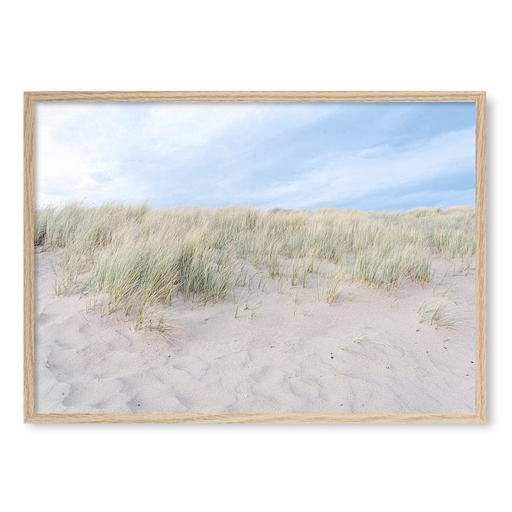 Grassy Dunes Wall Art Print A1 (59.4 x 84.1cm) / Natural Oak Frame / No Border from our Australian Made Framed Wall Art, Prints & Posters collection by Profile Products (Australia) Pty Ltd