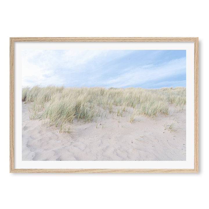 Grassy Dunes Wall Art Print A1 (59.4 x 84.1cm) / Natural Oak Frame / White Border from our Australian Made Framed Wall Art, Prints & Posters collection by Profile Products (Australia) Pty Ltd