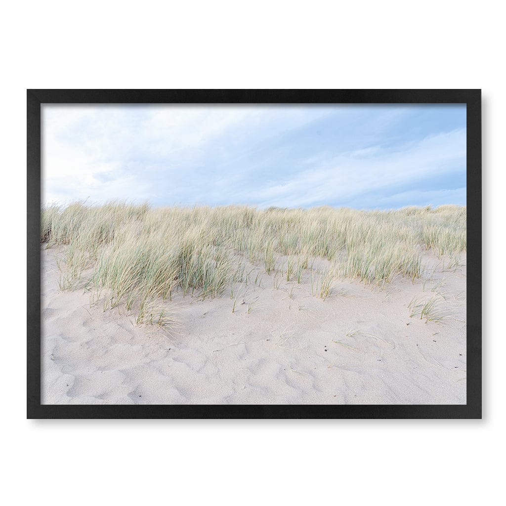 Grassy Dunes Wall Art Print A2 (42 x 59.4cm) / Matte Black Frame / No Border from our Australian Made Framed Wall Art, Prints & Posters collection by Profile Products (Australia) Pty Ltd