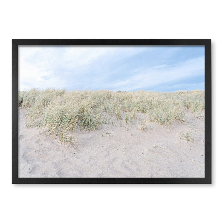 Grassy Dunes Wall Art Print A2 (42 x 59.4cm) / Matte Black Frame / No Border from our Australian Made Framed Wall Art, Prints & Posters collection by Profile Products (Australia) Pty Ltd