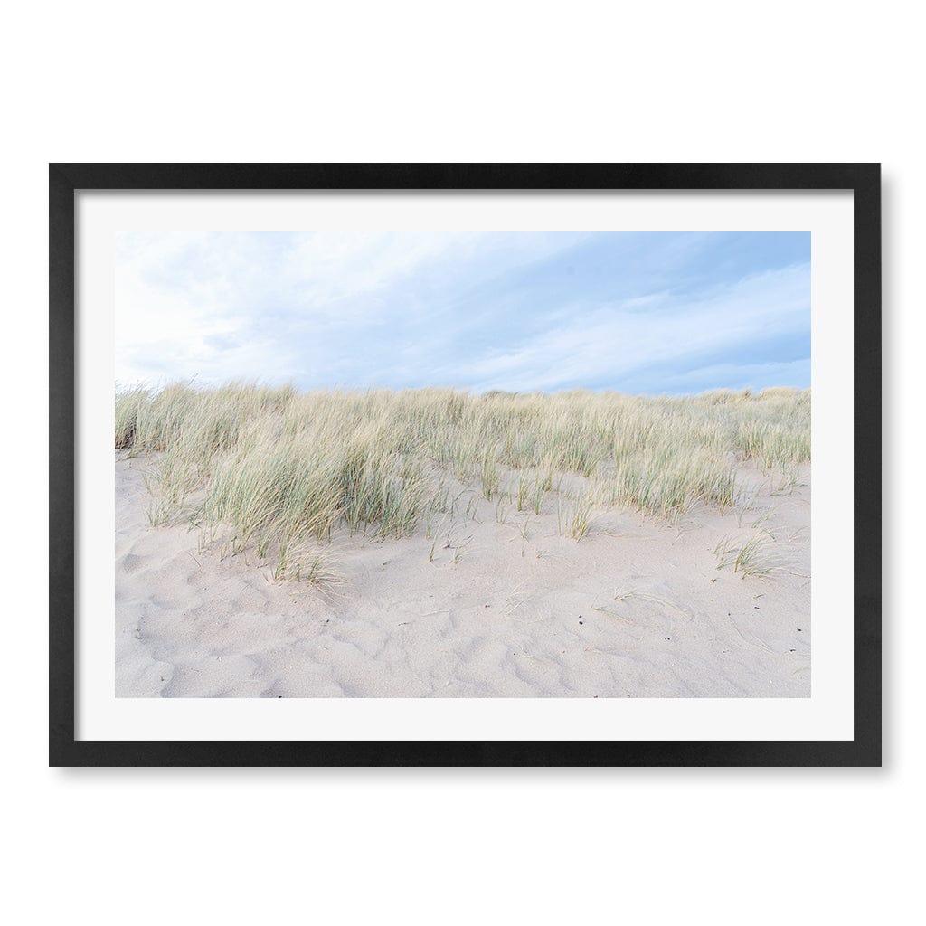 Grassy Dunes Wall Art Print A2 (42 x 59.4cm) / Matte Black Frame / White Border from our Australian Made Framed Wall Art, Prints & Posters collection by Profile Products (Australia) Pty Ltd