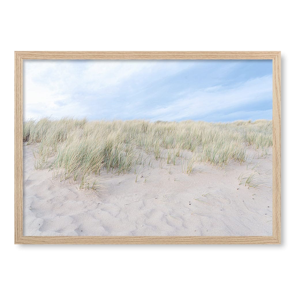 Grassy Dunes Wall Art Print A2 (42 x 59.4cm) / Natural Oak Frame / No Border from our Australian Made Framed Wall Art, Prints & Posters collection by Profile Products (Australia) Pty Ltd