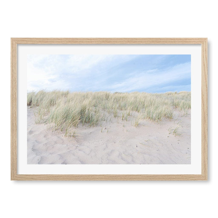 Grassy Dunes Wall Art Print A2 (42 x 59.4cm) / Natural Oak Frame / White Border from our Australian Made Framed Wall Art, Prints & Posters collection by Profile Products (Australia) Pty Ltd