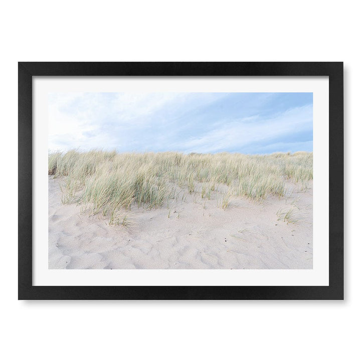 Grassy Dunes Wall Art Print A3 (29.7 x 42cm) / Matte Black Frame / White Border from our Australian Made Framed Wall Art, Prints & Posters collection by Profile Products (Australia) Pty Ltd