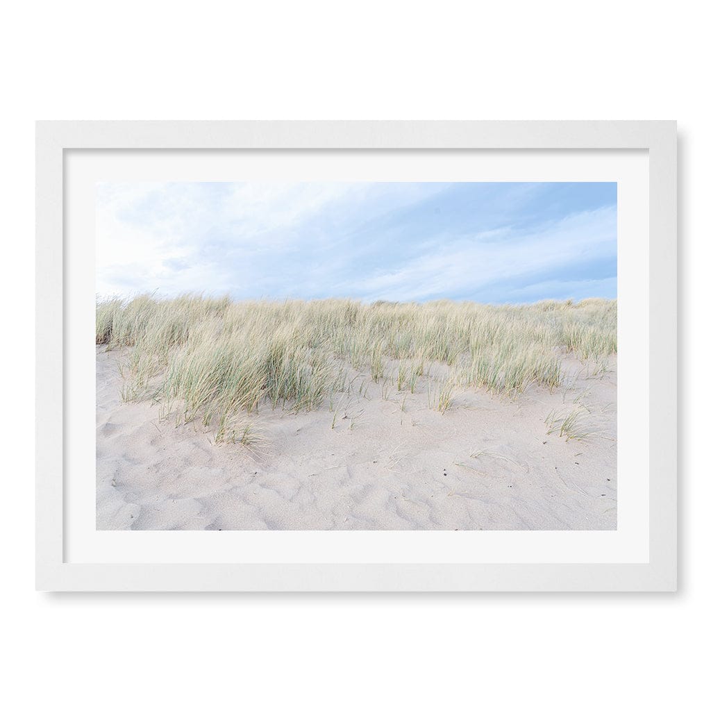 Grassy Dunes Wall Art Print A3 (29.7 x 42cm) / Matte White Frame / White Border from our Australian Made Framed Wall Art, Prints & Posters collection by Profile Products (Australia) Pty Ltd