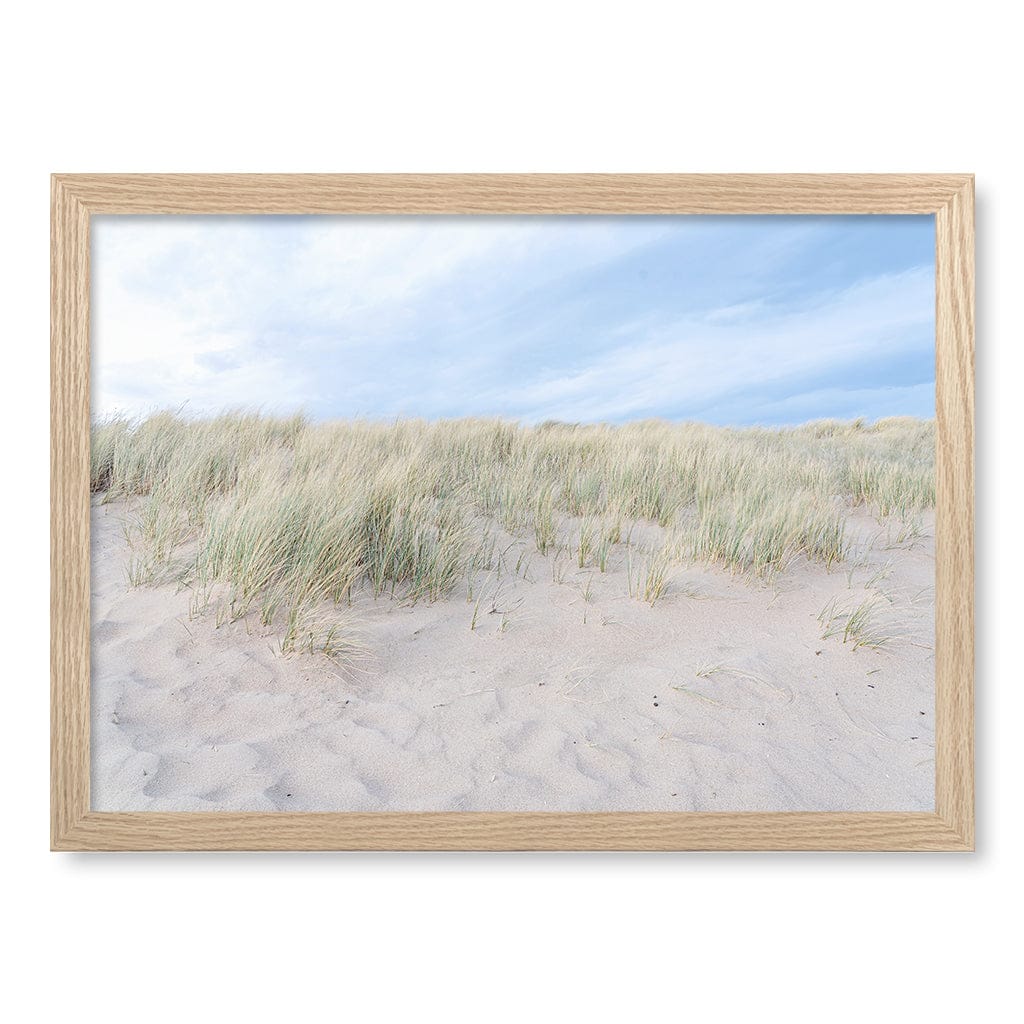 Grassy Dunes Wall Art Print A3 (29.7 x 42cm) / Natural Oak Frame / No Border from our Australian Made Framed Wall Art, Prints & Posters collection by Profile Products (Australia) Pty Ltd