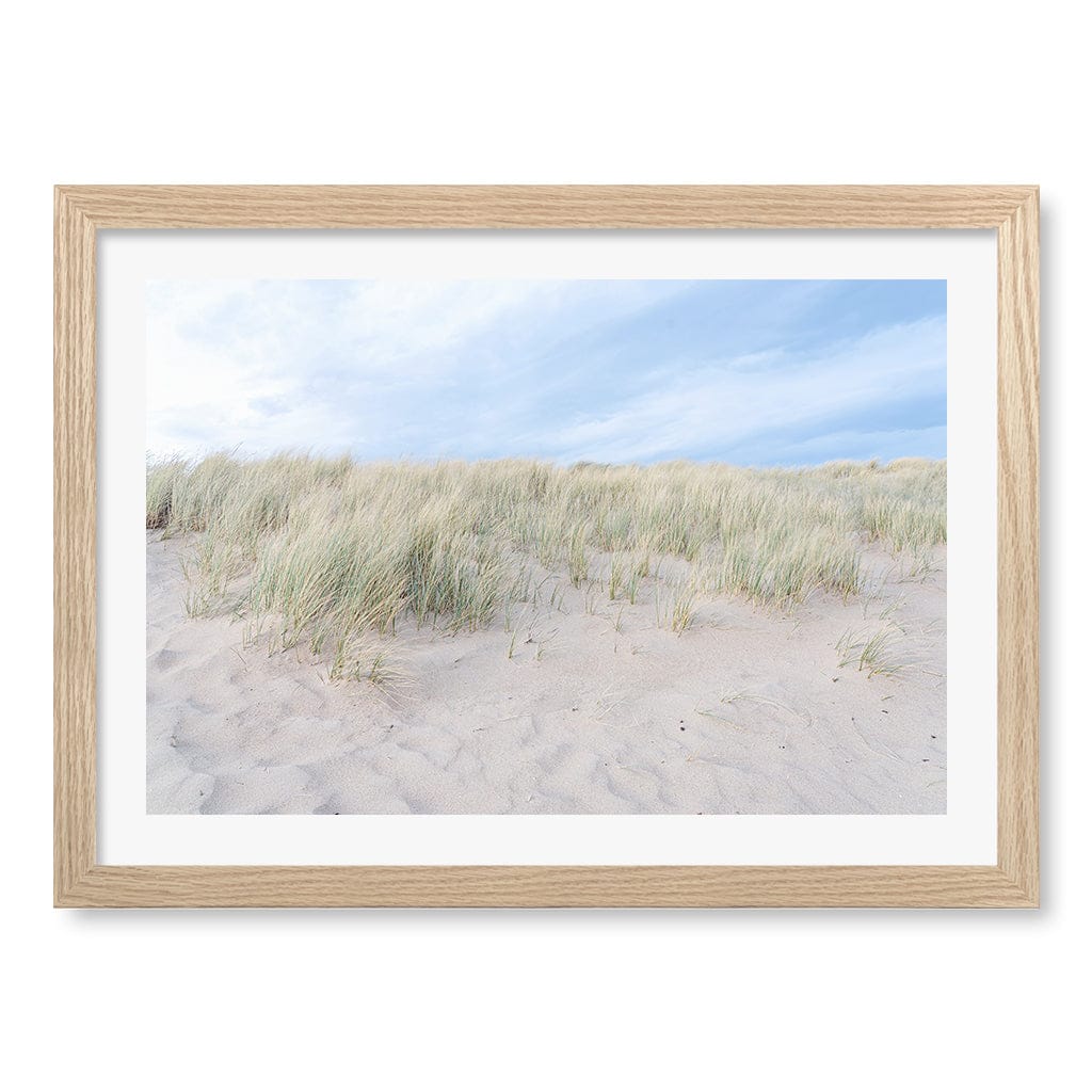 Grassy Dunes Wall Art Print A3 (29.7 x 42cm) / Natural Oak Frame / White Border from our Australian Made Framed Wall Art, Prints & Posters collection by Profile Products (Australia) Pty Ltd