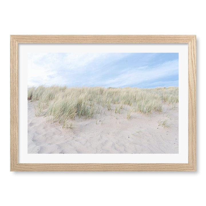 Grassy Dunes Wall Art Print A3 (29.7 x 42cm) / Natural Oak Frame / White Border from our Australian Made Framed Wall Art, Prints & Posters collection by Profile Products (Australia) Pty Ltd