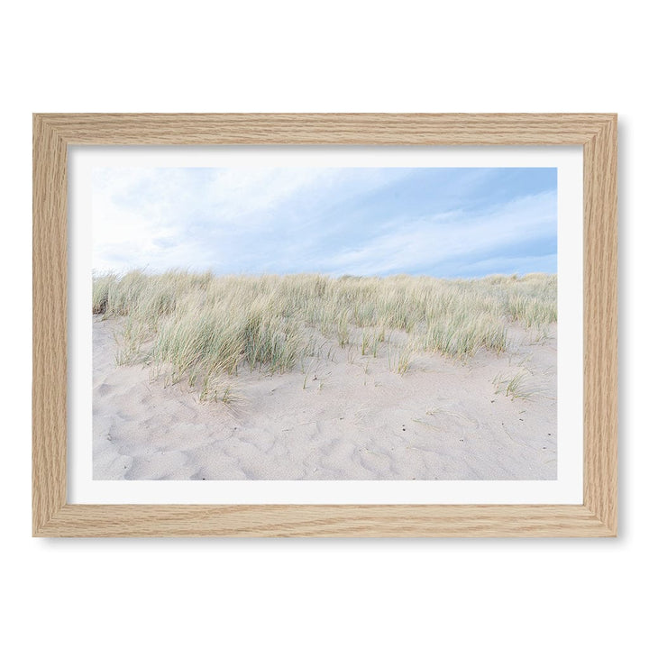 Grassy Dunes Wall Art Print A4 (21 x 29.7cm) / Natural Oak Frame / White Border from our Australian Made Framed Wall Art, Prints & Posters collection by Profile Products (Australia) Pty Ltd
