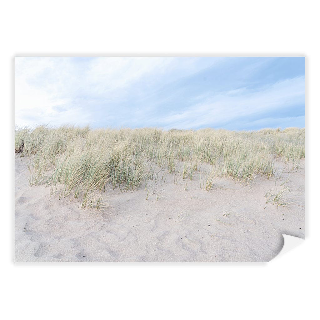 Grassy Dunes Wall Art Print A4 (21 x 29.7cm) / Print Only / No Border from our Australian Made Framed Wall Art, Prints & Posters collection by Profile Products (Australia) Pty Ltd