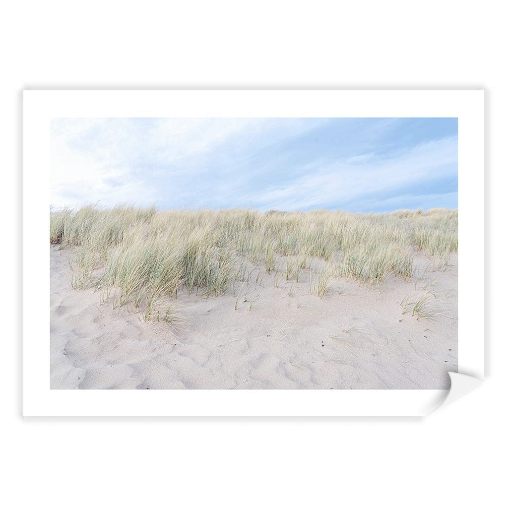 Grassy Dunes Wall Art Print A4 (21 x 29.7cm) / Print Only / White Border from our Australian Made Framed Wall Art, Prints & Posters collection by Profile Products (Australia) Pty Ltd