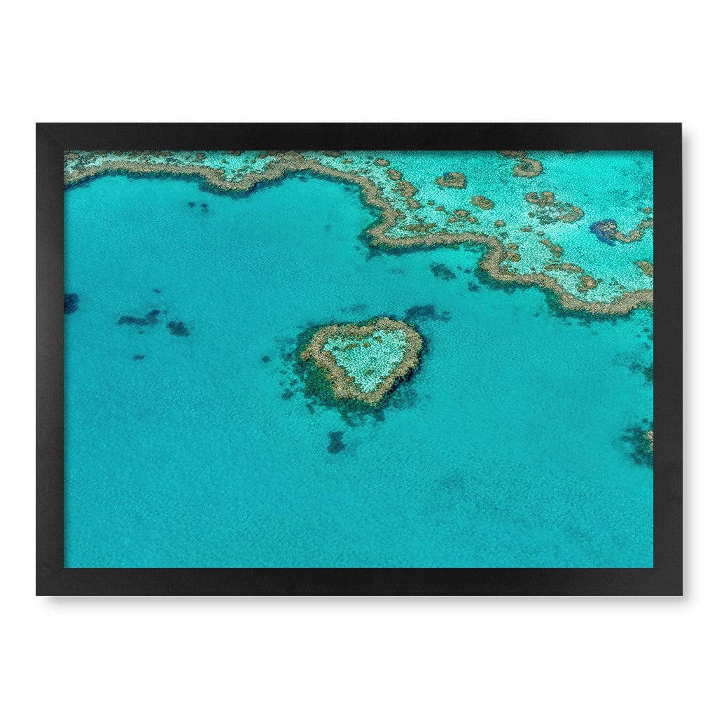 Heart Reef Wall Art Print A3 (29.7 x 42cm) / Matte Black Frame / No Border from our Australian Made Framed Wall Art, Prints & Posters collection by Profile Products (Australia) Pty Ltd