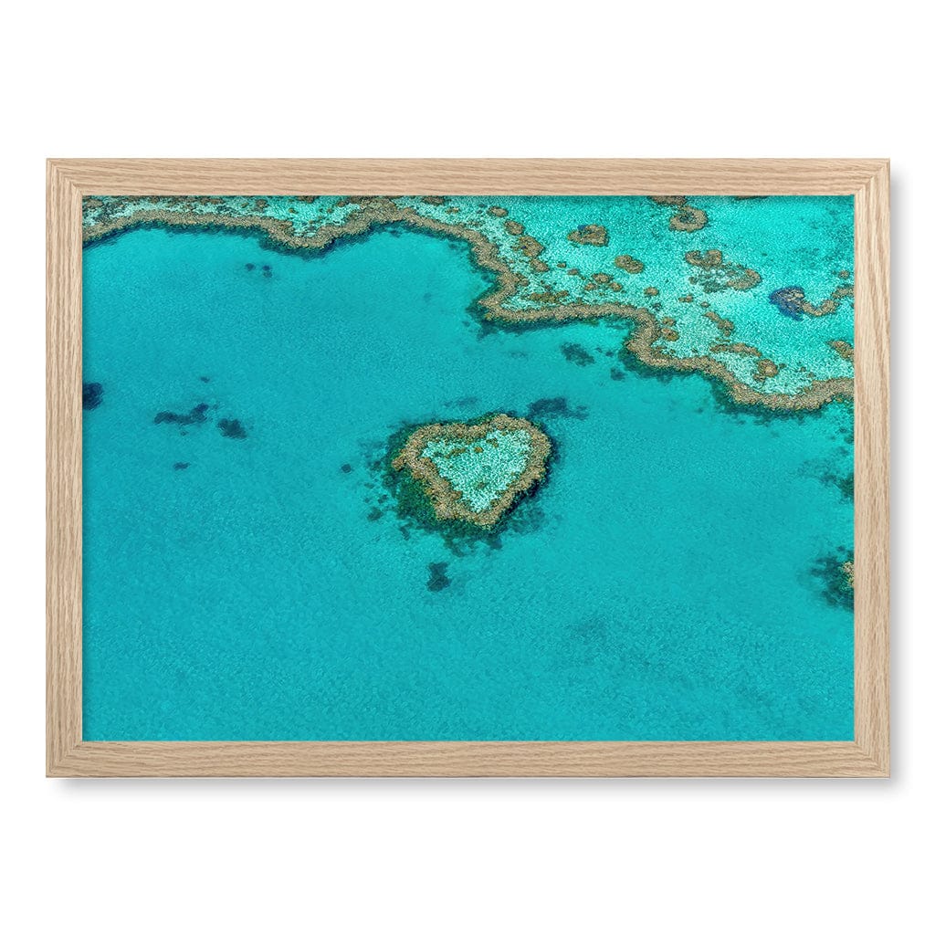 Heart Reef Wall Art Print A3 (29.7 x 42cm) / Natural Oak Frame / No Border from our Australian Made Framed Wall Art, Prints & Posters collection by Profile Products (Australia) Pty Ltd