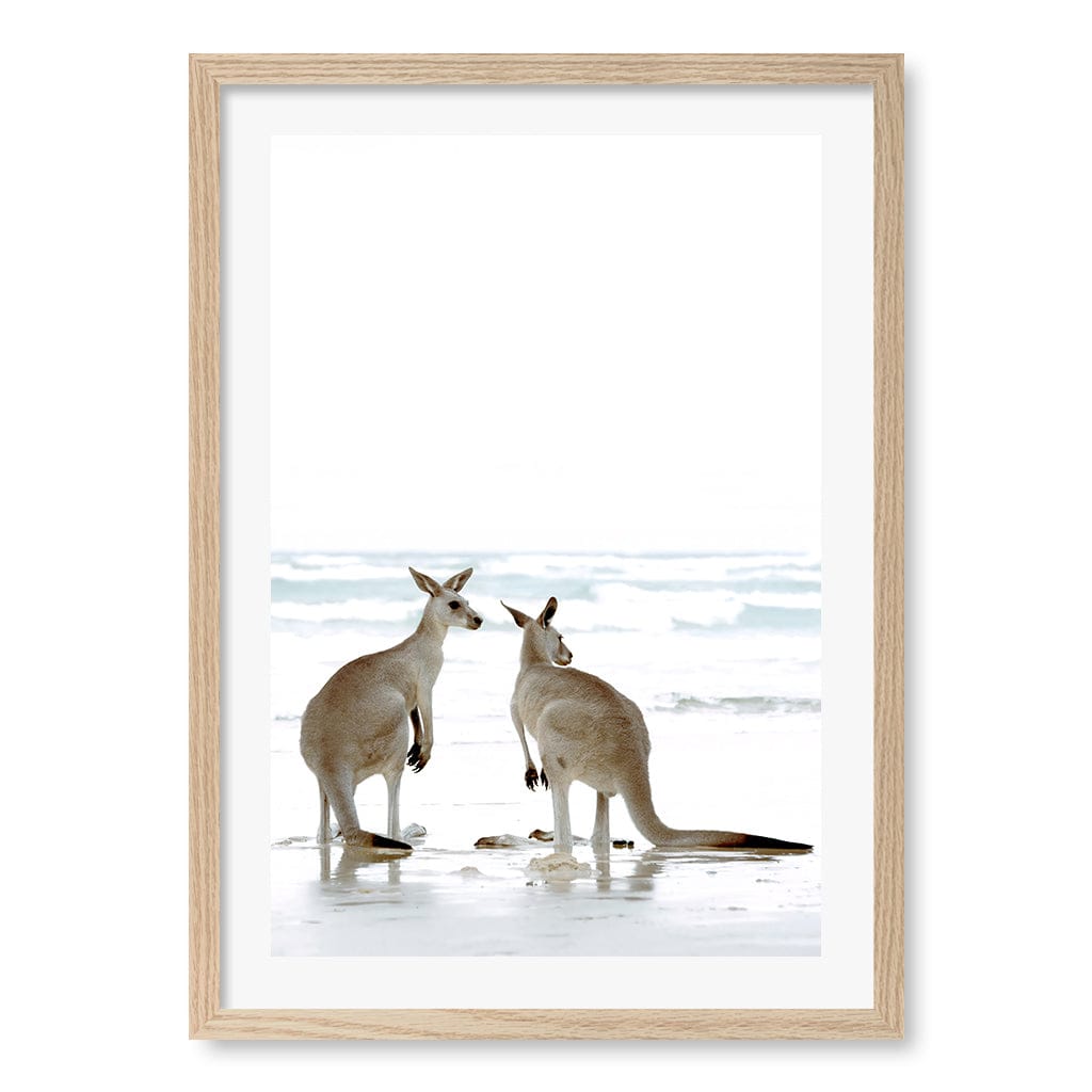 Kangaroo Couple Wall Art Print A2 (42 x 59.4cm) / Natural Oak Frame / White Border from our Australian Made Framed Wall Art, Prints & Posters collection by Profile Products (Australia) Pty Ltd