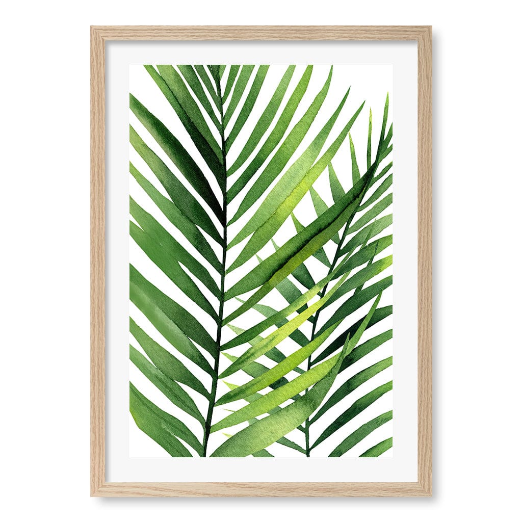 Kentia Palm Leaves Wall Art Print A2 (42 x 59.4cm) / Natural Oak Frame / White Border from our Australian Made Framed Wall Art, Prints & Posters collection by Profile Australia