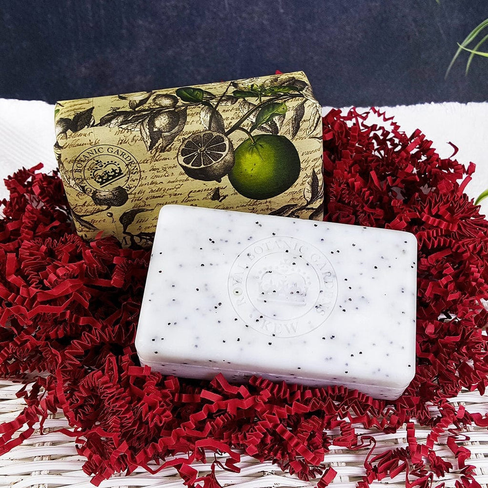 Kew Gardens Lemongrass & Lime Soap Bar from our Luxury Bar Soap collection by The English Soap Company