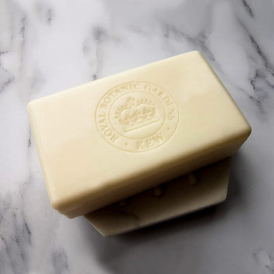 Kew Gardens Orchid & Vanilla Soap Bar from our Luxury Bar Soap collection by The English Soap Company