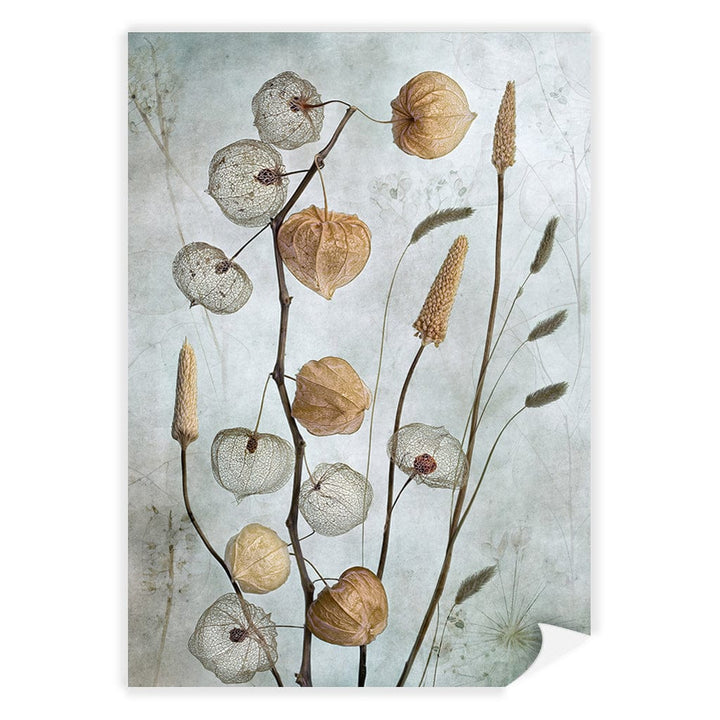 Lanterns Floral Wall Art Print by Mandy Disher A4 (21 x 29.7cm) / Print Only / No Border from our Australian Made Framed Wall Art, Prints & Posters collection by Profile Australia