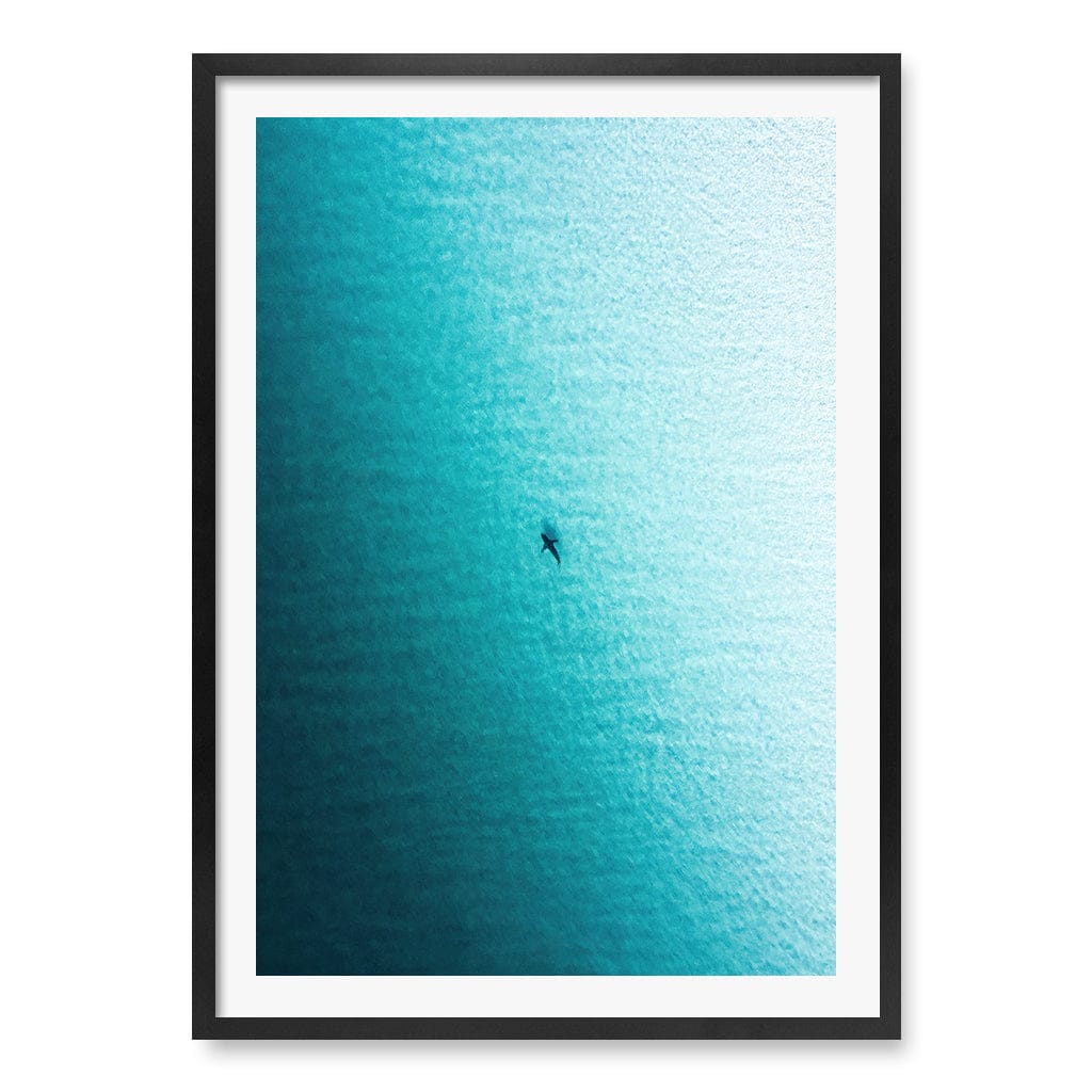 Lone Hunter Wall Art Print A1 (59.4 x 84.1cm) / Matte Black Frame / White Border from our Australian Made Framed Wall Art, Prints & Posters collection by Profile Products (Australia) Pty Ltd