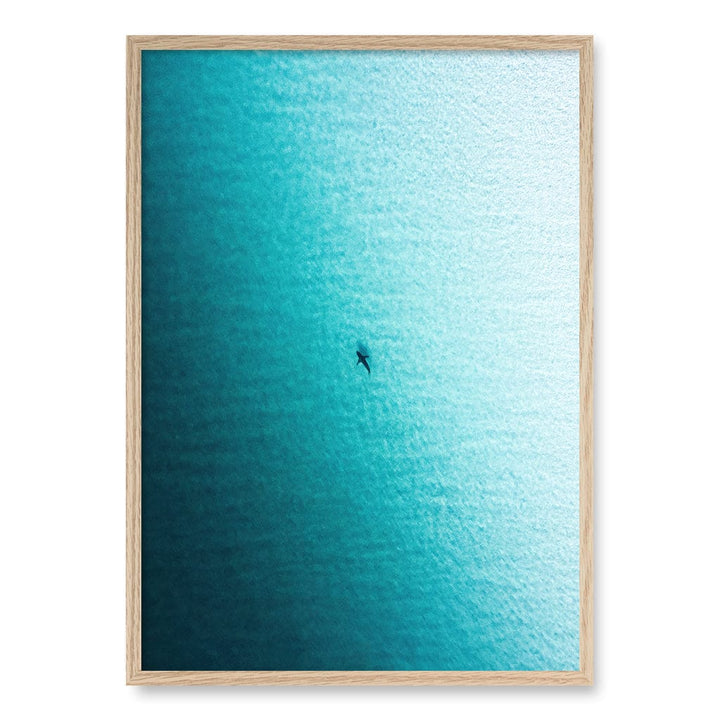 Lone Hunter Wall Art Print A1 (59.4 x 84.1cm) / Natural Oak Frame / No Border from our Australian Made Framed Wall Art, Prints & Posters collection by Profile Products (Australia) Pty Ltd