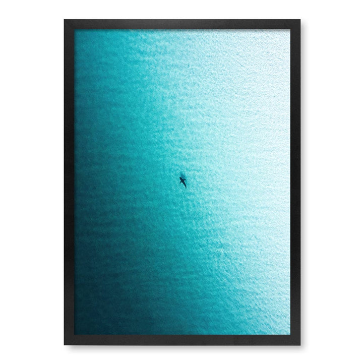 Lone Hunter Wall Art Print A2 (42 x 59.4cm) / Matte Black Frame / No Border from our Australian Made Framed Wall Art, Prints & Posters collection by Profile Products (Australia) Pty Ltd