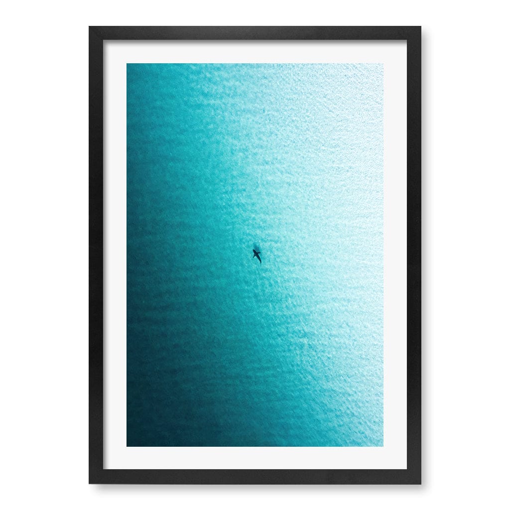 Lone Hunter Wall Art Print A2 (42 x 59.4cm) / Matte Black Frame / White Border from our Australian Made Framed Wall Art, Prints & Posters collection by Profile Products (Australia) Pty Ltd