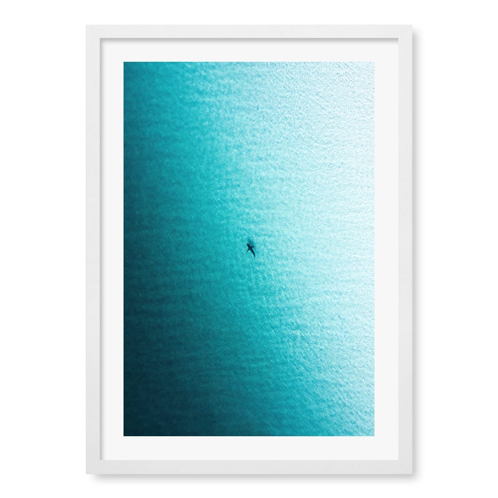 Lone Hunter Wall Art Print A2 (42 x 59.4cm) / Matte White Frame / White Border from our Australian Made Framed Wall Art, Prints & Posters collection by Profile Products (Australia) Pty Ltd