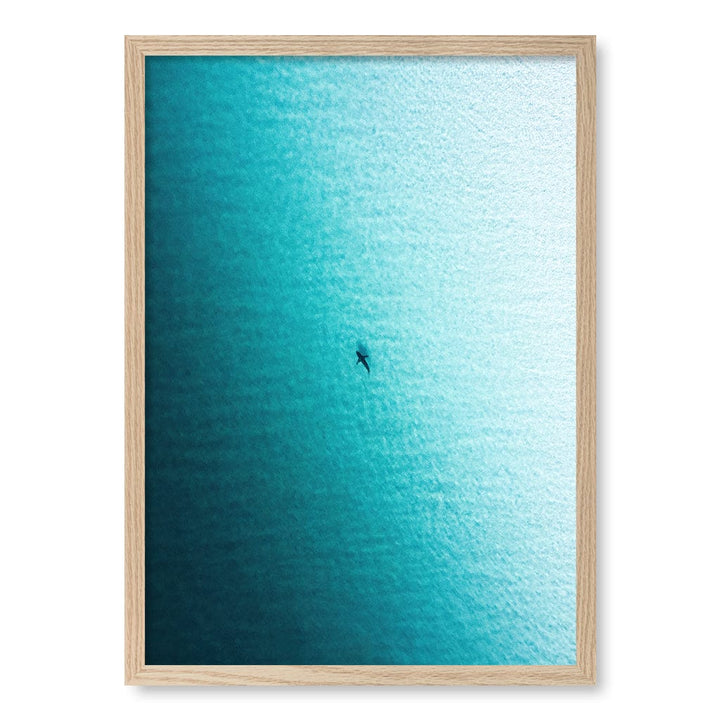 Lone Hunter Wall Art Print A2 (42 x 59.4cm) / Natural Oak Frame / No Border from our Australian Made Framed Wall Art, Prints & Posters collection by Profile Products (Australia) Pty Ltd
