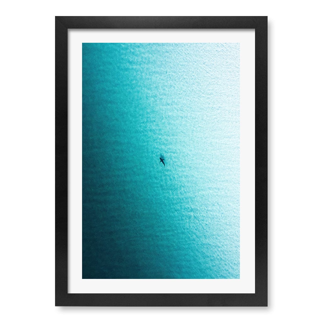 Lone Hunter Wall Art Print A3 (29.7 x 42cm) / Matte Black Frame / White Border from our Australian Made Framed Wall Art, Prints & Posters collection by Profile Products (Australia) Pty Ltd