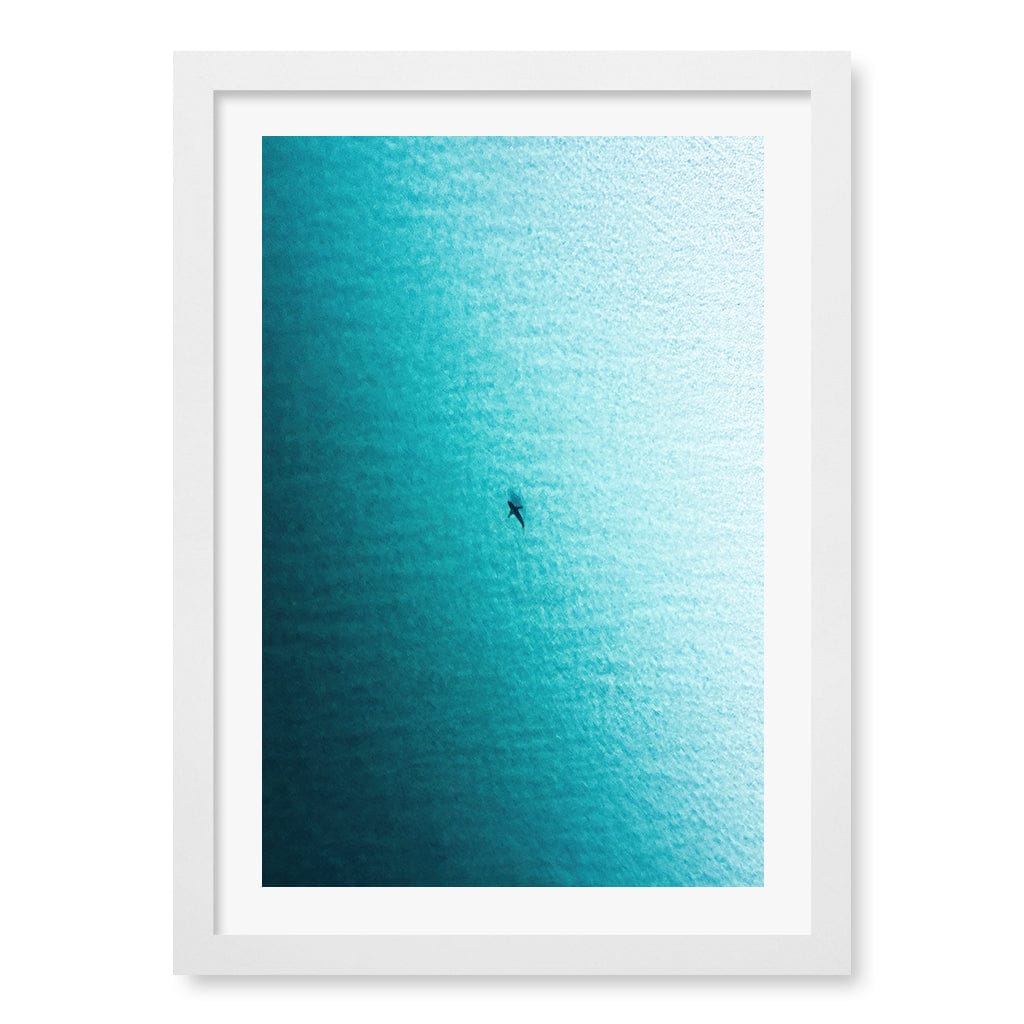 Lone Hunter Wall Art Print A3 (29.7 x 42cm) / Matte White Frame / White Border from our Australian Made Framed Wall Art, Prints & Posters collection by Profile Products (Australia) Pty Ltd