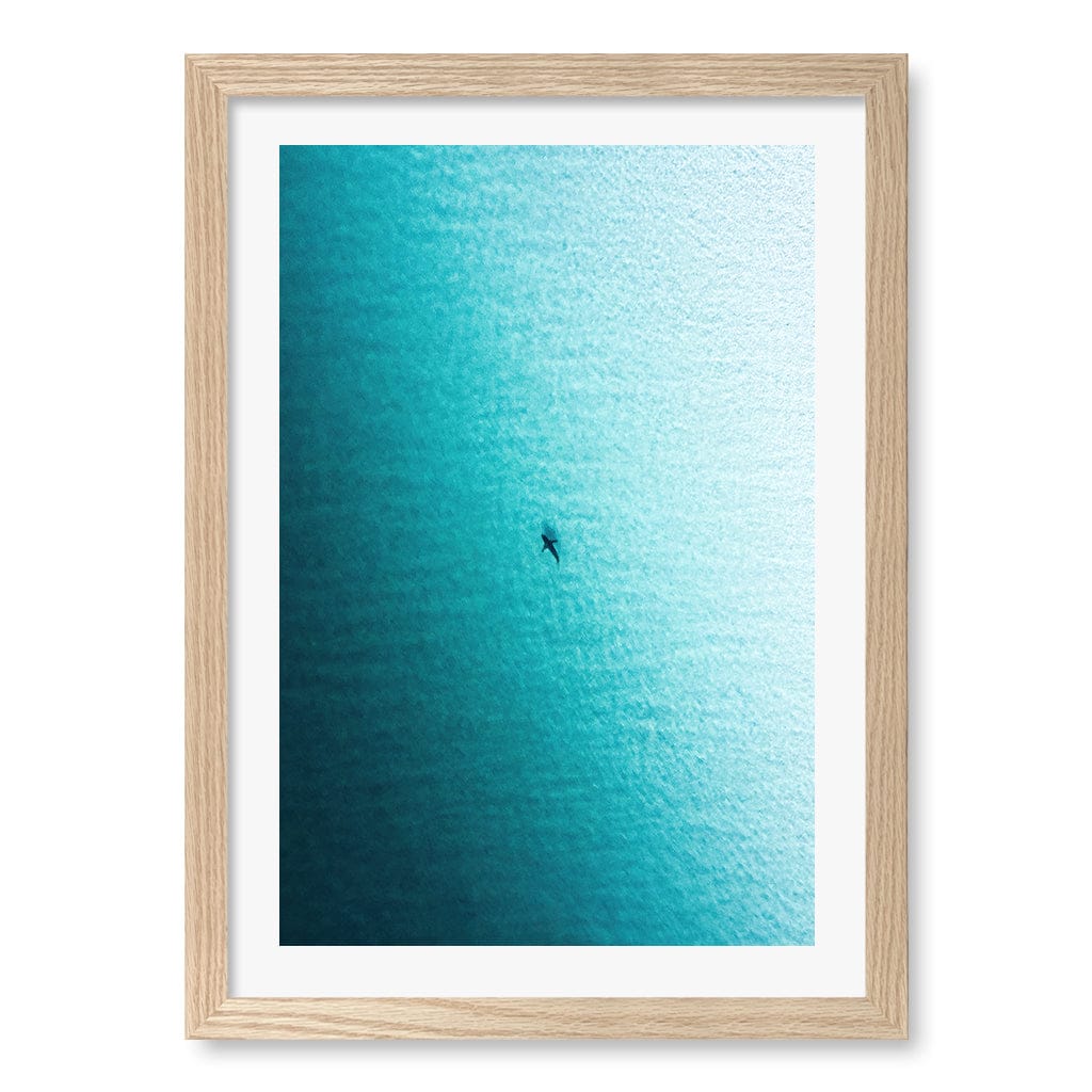 Lone Hunter Wall Art Print A3 (29.7 x 42cm) / Natural Oak Frame / White Border from our Australian Made Framed Wall Art, Prints & Posters collection by Profile Products (Australia) Pty Ltd