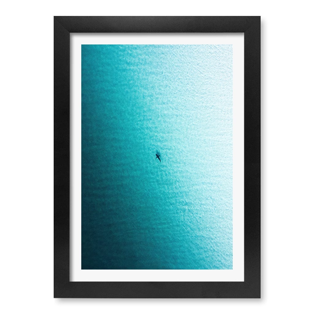 Lone Hunter Wall Art Print A4 (21 x 29.7cm) / Matte Black Frame / White Border from our Australian Made Framed Wall Art, Prints & Posters collection by Profile Products (Australia) Pty Ltd