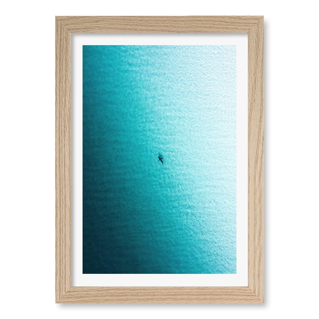 Lone Hunter Wall Art Print A4 (21 x 29.7cm) / Natural Oak Frame / White Border from our Australian Made Framed Wall Art, Prints & Posters collection by Profile Products (Australia) Pty Ltd