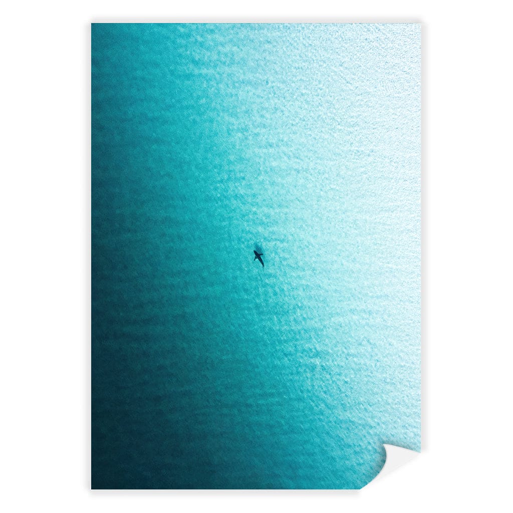 Lone Hunter Wall Art Print A4 (21 x 29.7cm) / Print Only / No Border from our Australian Made Framed Wall Art, Prints & Posters collection by Profile Products (Australia) Pty Ltd