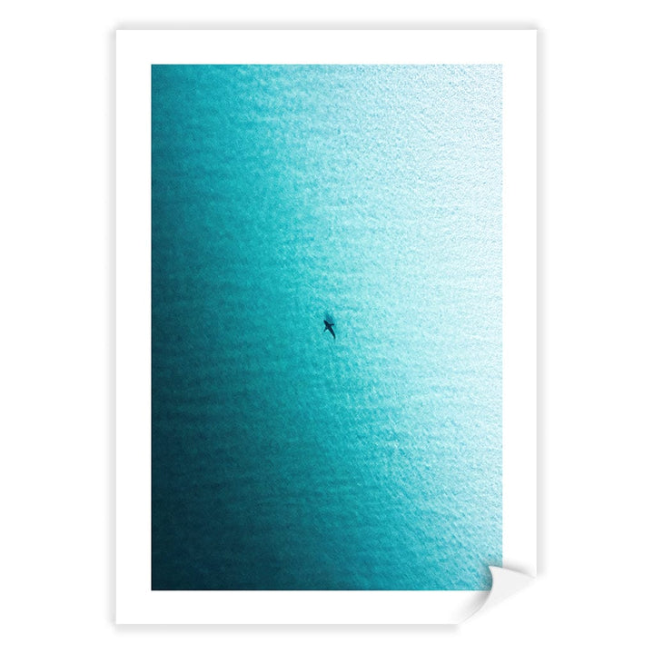 Lone Hunter Wall Art Print A4 (21 x 29.7cm) / Print Only / White Border from our Australian Made Framed Wall Art, Prints & Posters collection by Profile Products (Australia) Pty Ltd