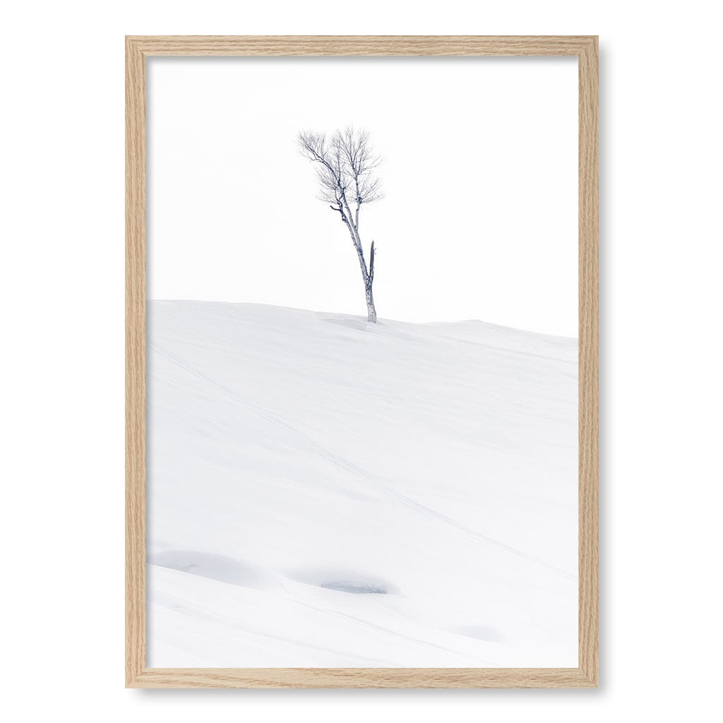 Lonely At Top Wall Art Print by Jassi Oberai A4 (21 x 29.7cm) / Natural Oak Frame / No Border from our Australian Made Framed Wall Art, Prints & Posters collection by Profile Australia