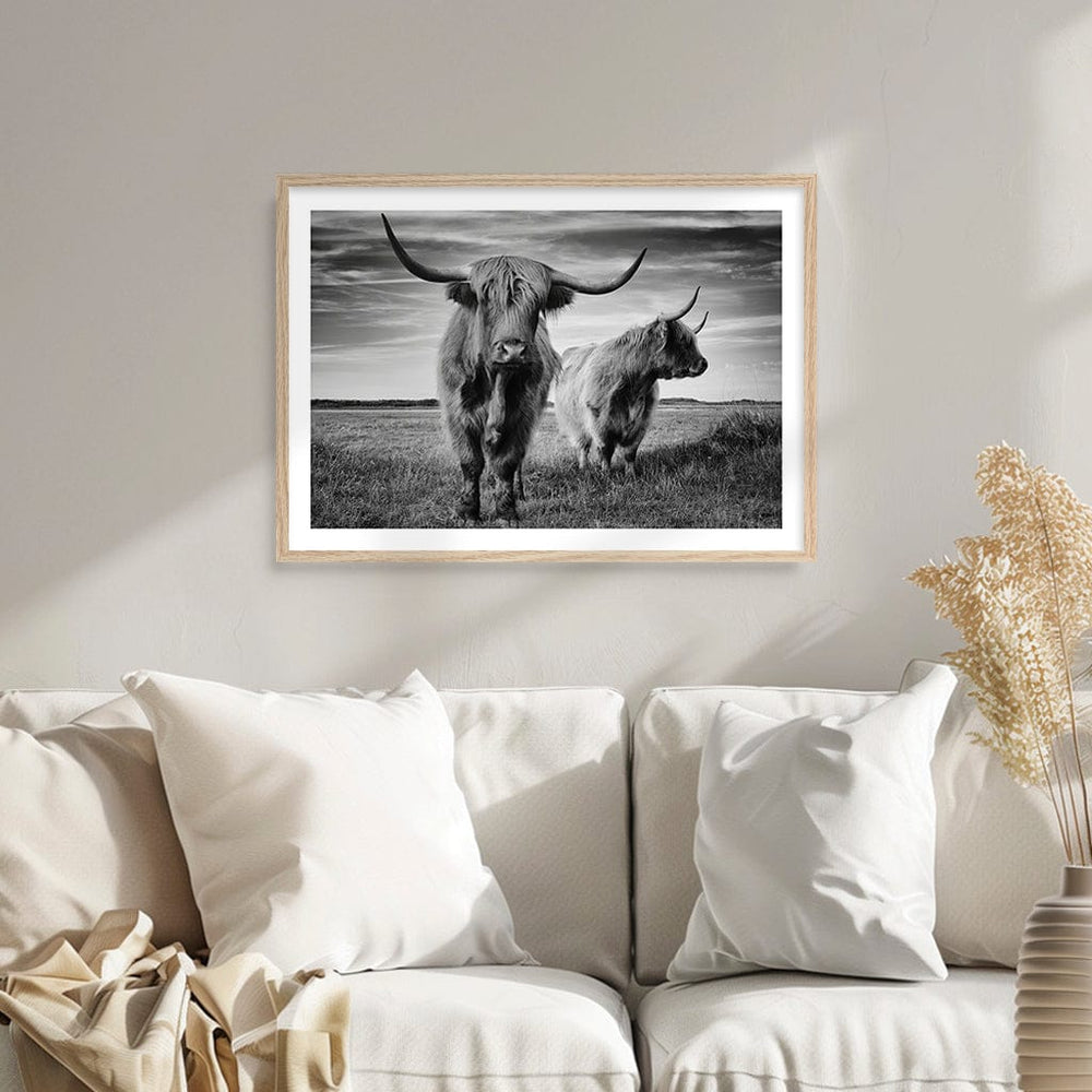 Majestic Highland Cows Wall Art Print from our Australian Made Framed Wall Art, Prints & Posters collection by Profile Australia