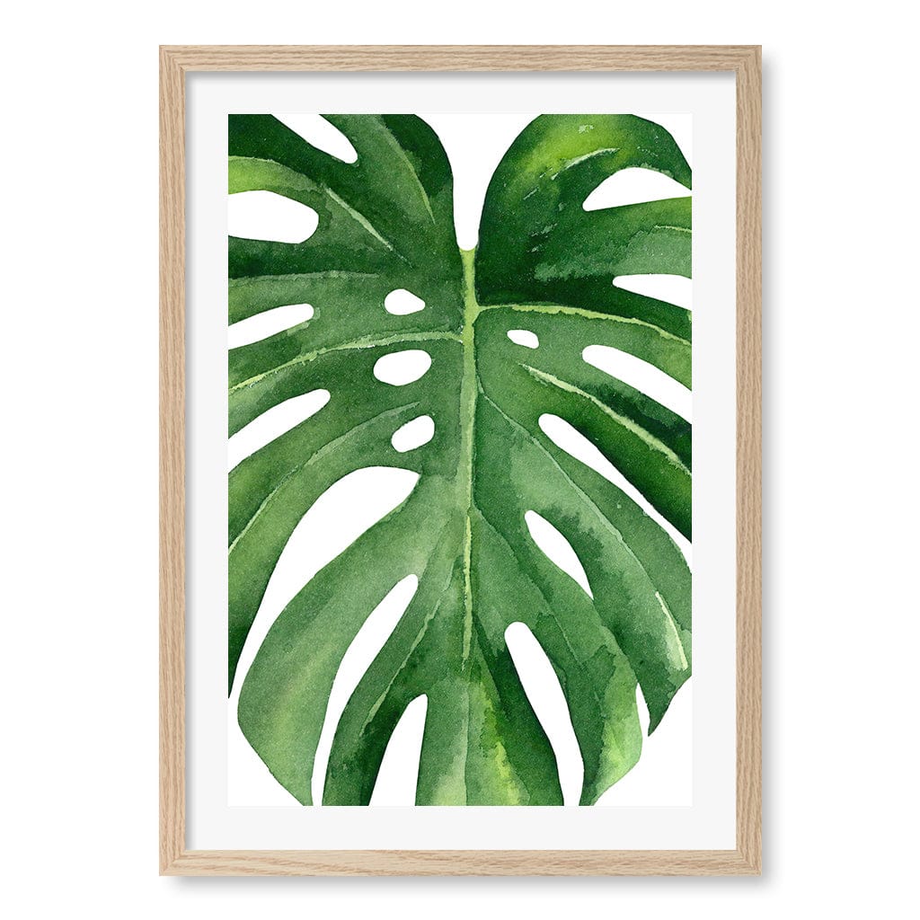 Monstera Leaf Wall Art Print A2 (42 x 59.4cm) / Natural Oak Frame / White Border from our Australian Made Framed Wall Art, Prints & Posters collection by Profile Australia