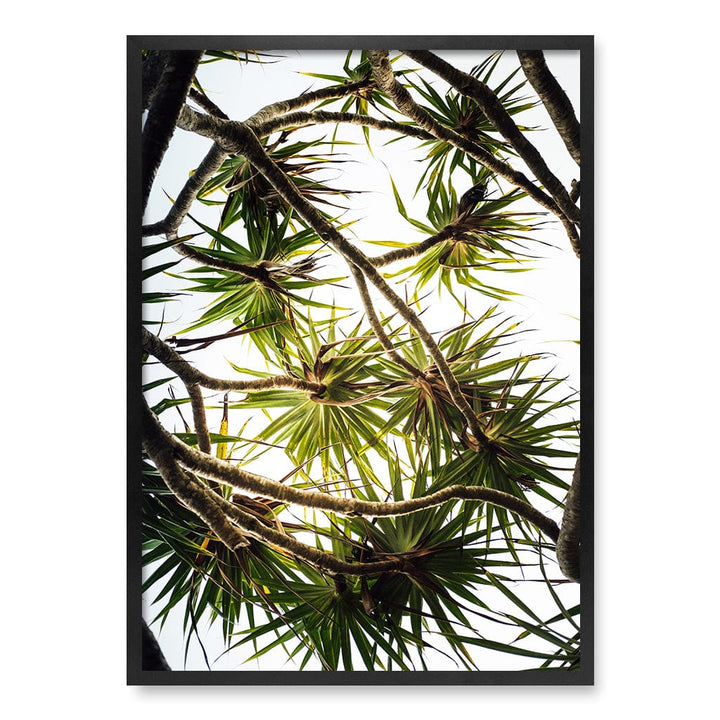 Noosa Palms Wall Art Print A1 (59.4 x 84.1cm) / Matte Black Frame / No Border from our Australian Made Framed Wall Art, Prints & Posters collection by Profile Products (Australia) Pty Ltd