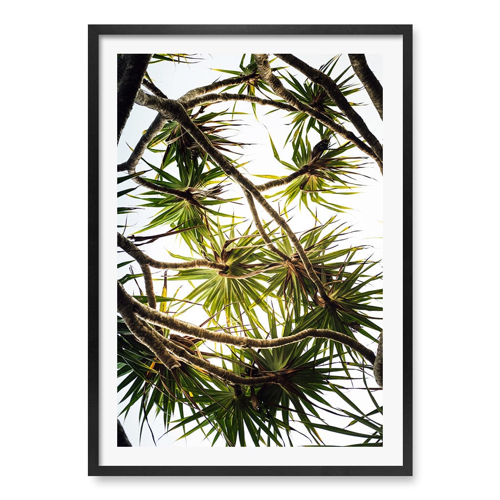 Noosa Palms Wall Art Print A1 (59.4 x 84.1cm) / Matte Black Frame / White Border from our Australian Made Framed Wall Art, Prints & Posters collection by Profile Products (Australia) Pty Ltd