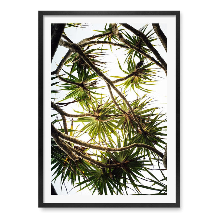 Noosa Palms Wall Art Print A1 (59.4 x 84.1cm) / Matte Black Frame / White Border from our Australian Made Framed Wall Art, Prints & Posters collection by Profile Products (Australia) Pty Ltd