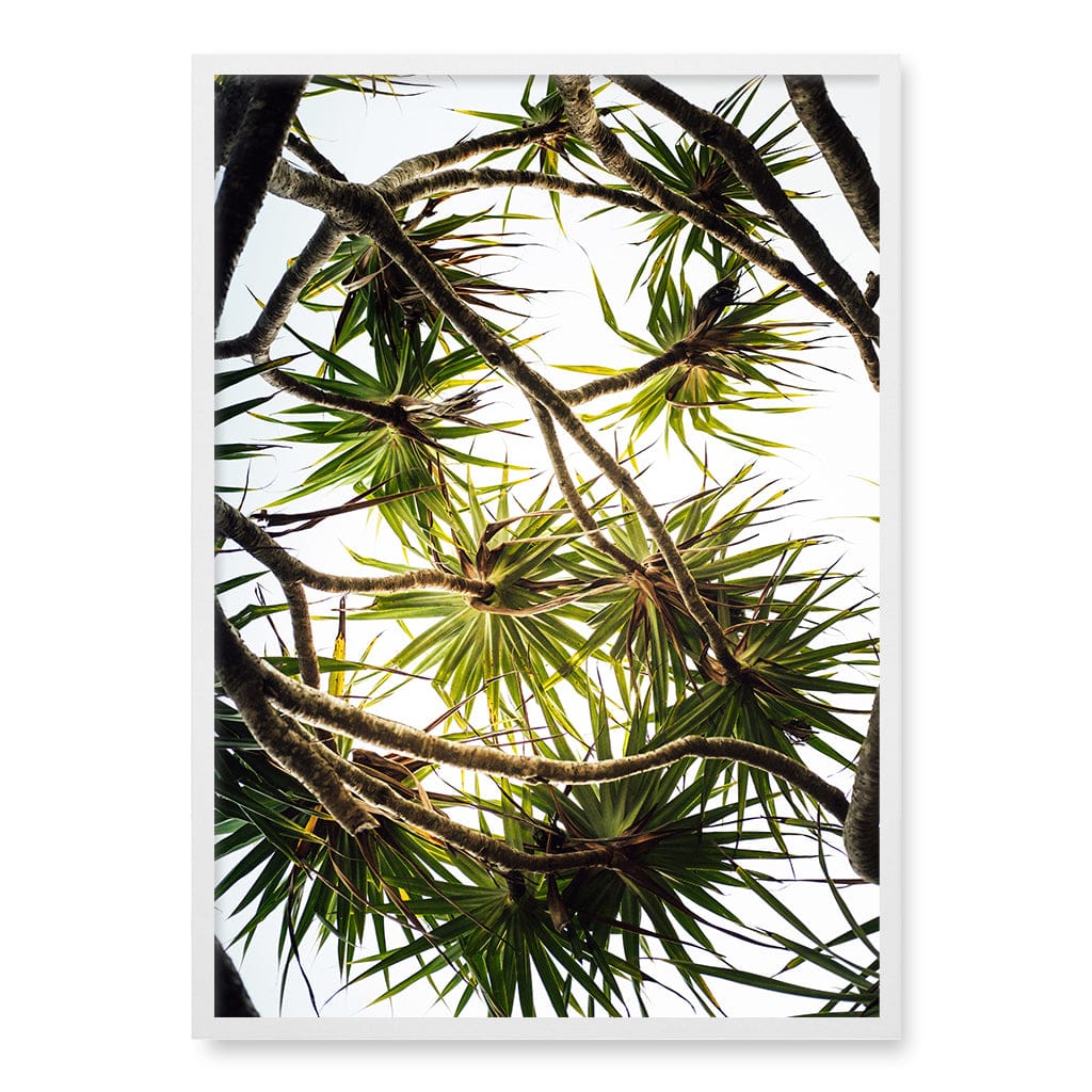 Noosa Palms Wall Art Print A1 (59.4 x 84.1cm) / Matte White Frame / No Border from our Australian Made Framed Wall Art, Prints & Posters collection by Profile Products (Australia) Pty Ltd