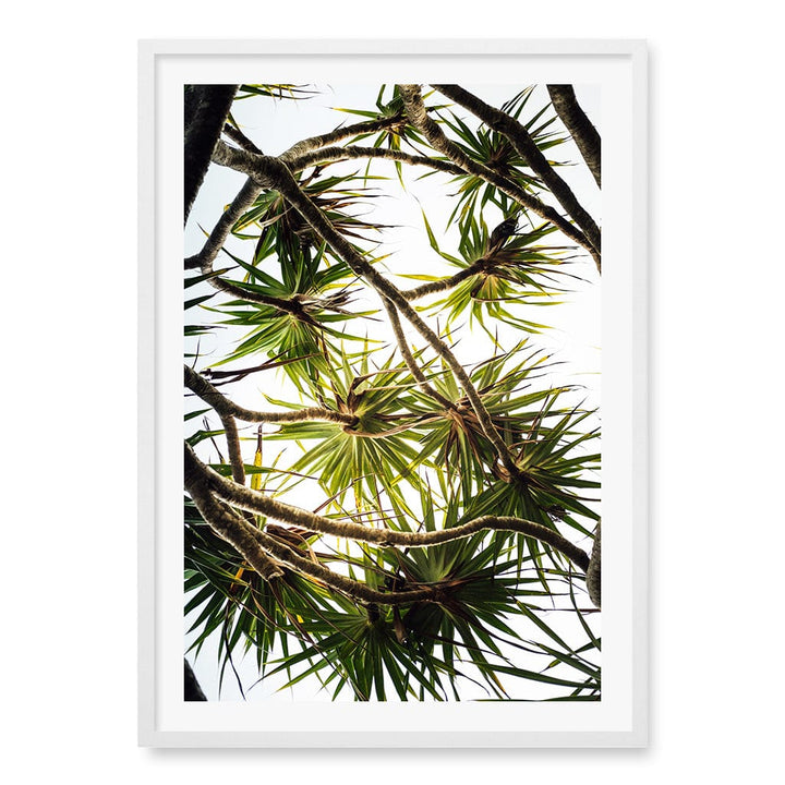 Noosa Palms Wall Art Print A1 (59.4 x 84.1cm) / Matte White Frame / White Border from our Australian Made Framed Wall Art, Prints & Posters collection by Profile Products (Australia) Pty Ltd